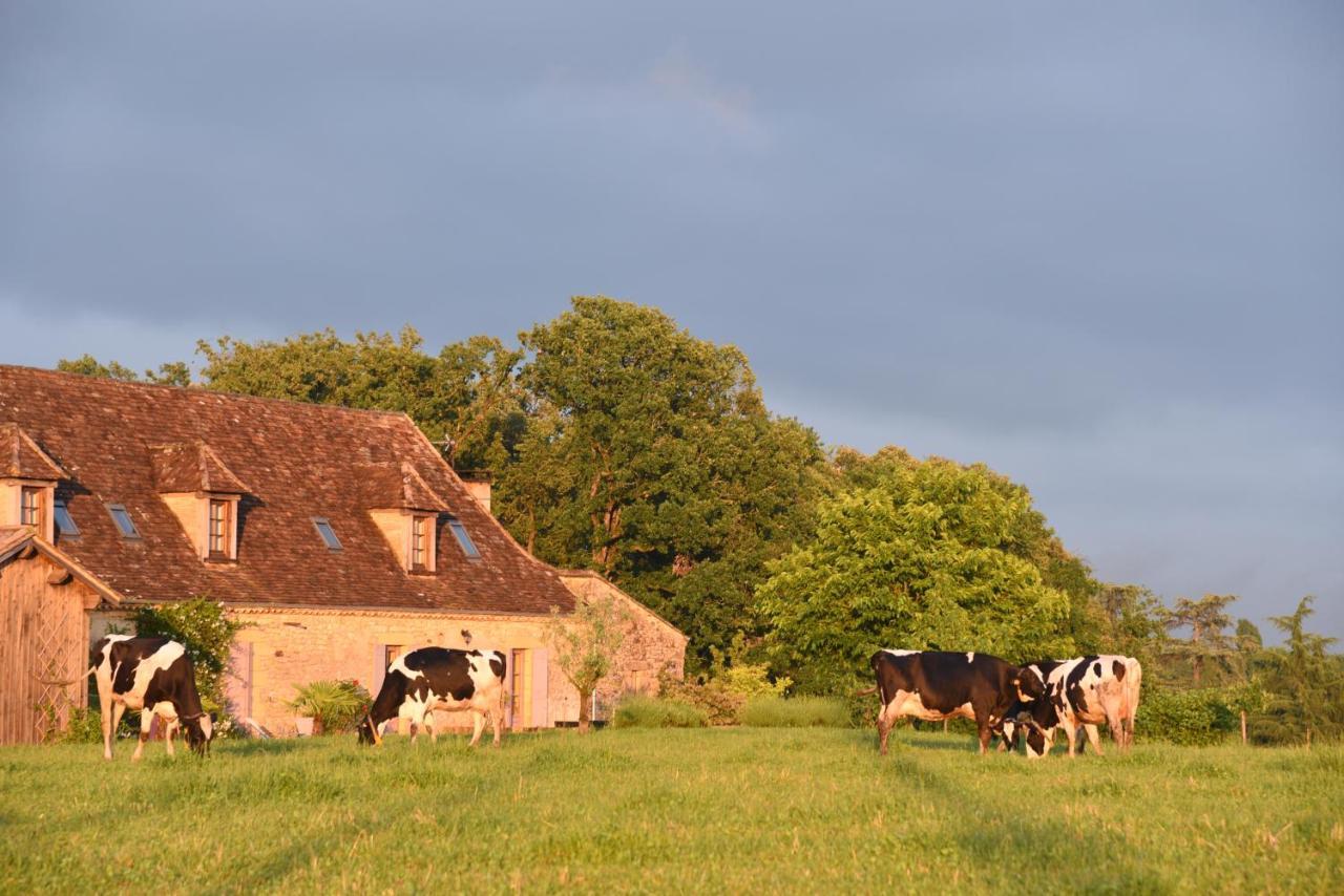 Chambre D'Hotes La Ferme De La Croix. Saint-Avit-Sénieur Buitenkant foto