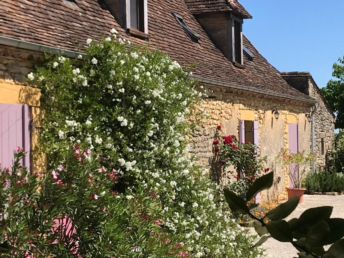 Chambre D'Hotes La Ferme De La Croix. Saint-Avit-Sénieur Buitenkant foto